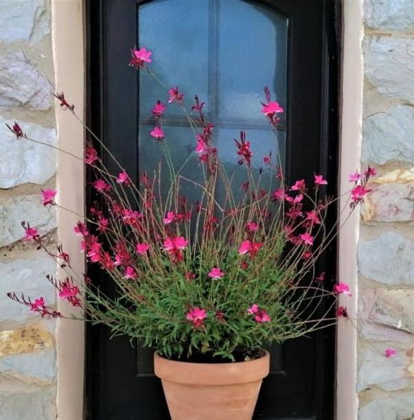 B&B Casa Escondida, Adults Only Alte Exterior photo